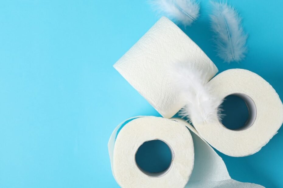 Descubra o Papel Higiênico Pague 11 leve 12 Qualité Campione