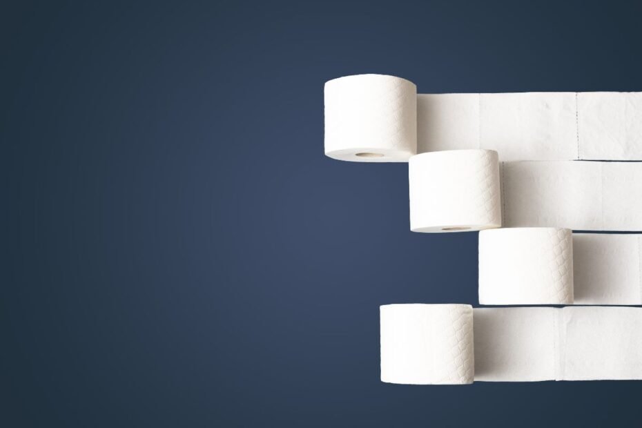 Luxsoft 3 Camadas O Papel Higiênico dos Seus Sonhos