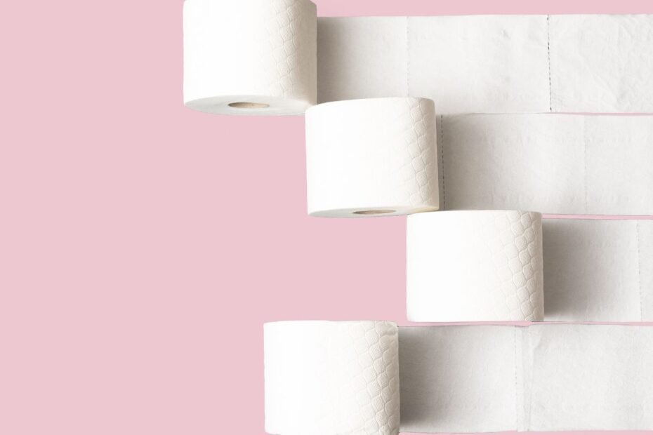 Neve Folha Dupla 64 Rolos O Guia Definitivo (2024)