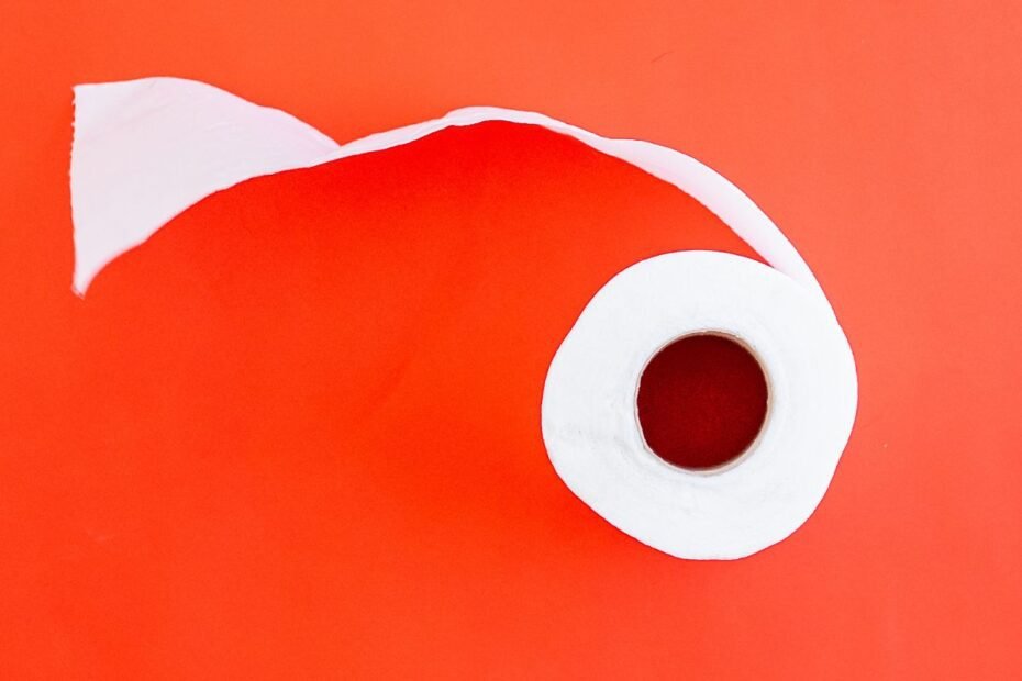 Neve Toque de Seda O Melhor Papel Higiênico Pro Seu Lar