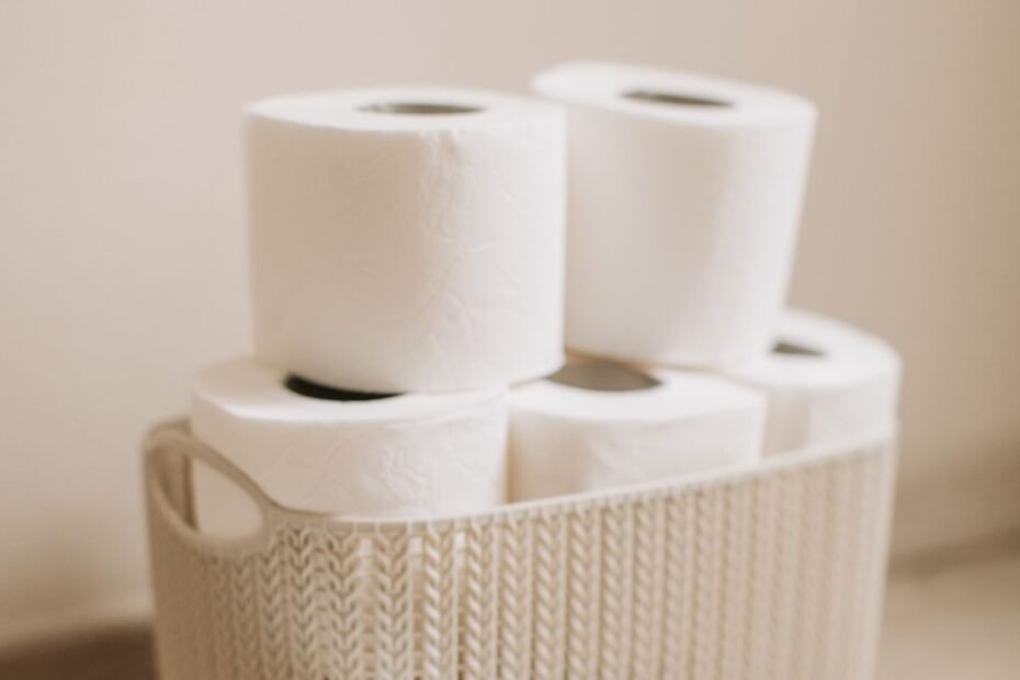 Papel Higiênico Noble Vale a Pena Guia Completo!