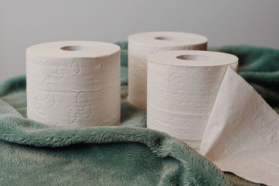 Papel Higiênico Personal Vip É Bom Vale a Pena Guia Completo!