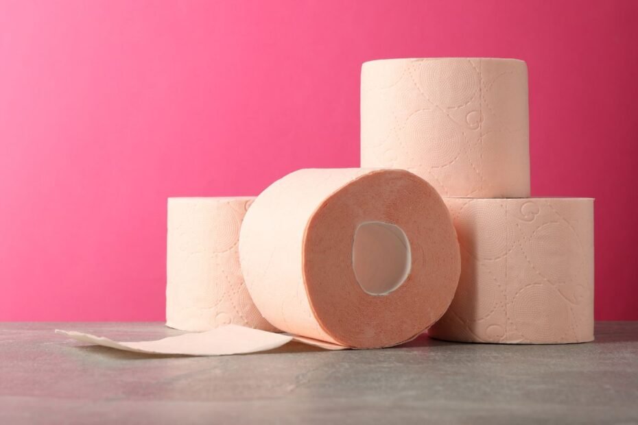 Papel Higiênico Personal Vip Luxo no Banheiro Análise Completa!